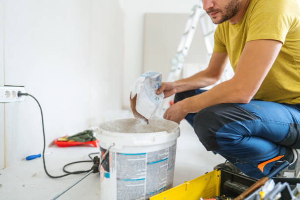 Professional Mold Removal in Nipomo, CA